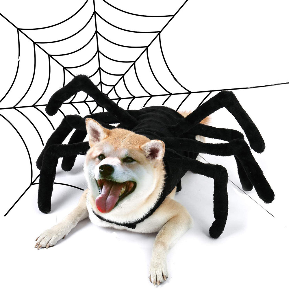 Edderkoppkostyme til hund med utstoppede ben til halloween