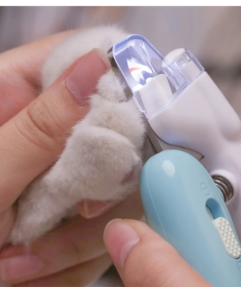 Kloklipper til hund og katt med LED lys - Bilde 2