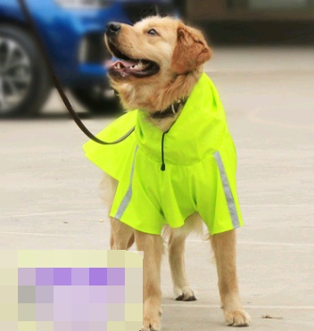 Regnjakke til hund med refleks og vanntett PU - Bilde 7