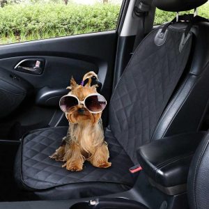 setetrekk for hund i forsete