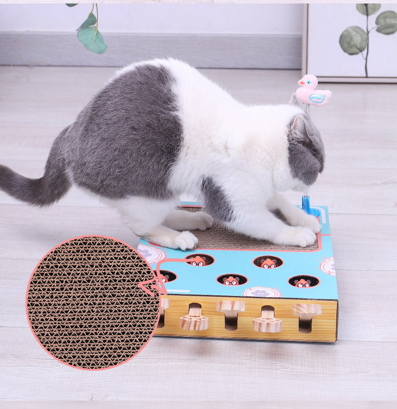 Aktivitetsleke til katt i tre - Bilde 4