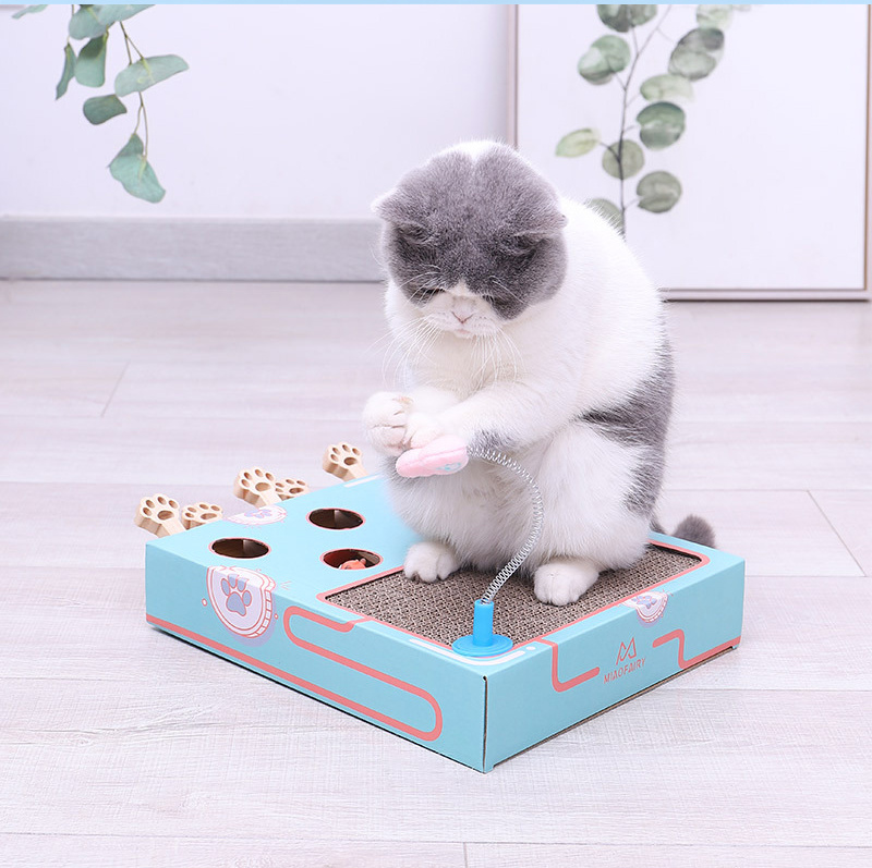 Aktivitetsleke til katt i tre - Bilde 5