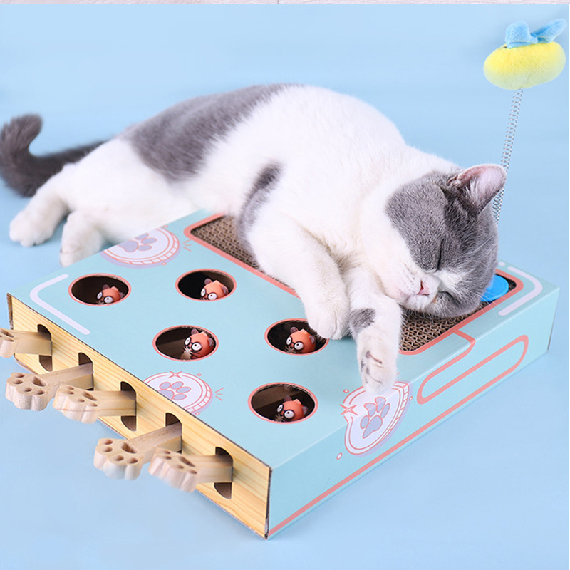 Aktivitetsleke til katt i tre - Bilde 3
