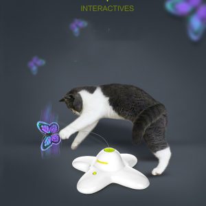 interaktiv sommerfuglleke til katt