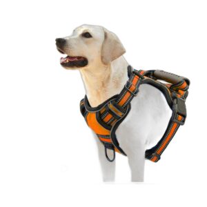 Hundesele med refleks og polstring
