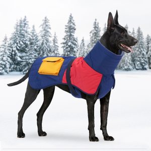 vinterjakke til hund utendørs