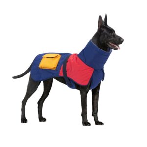vinterjakke til hund utendørs