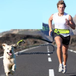 løpebelte til hund med refleks