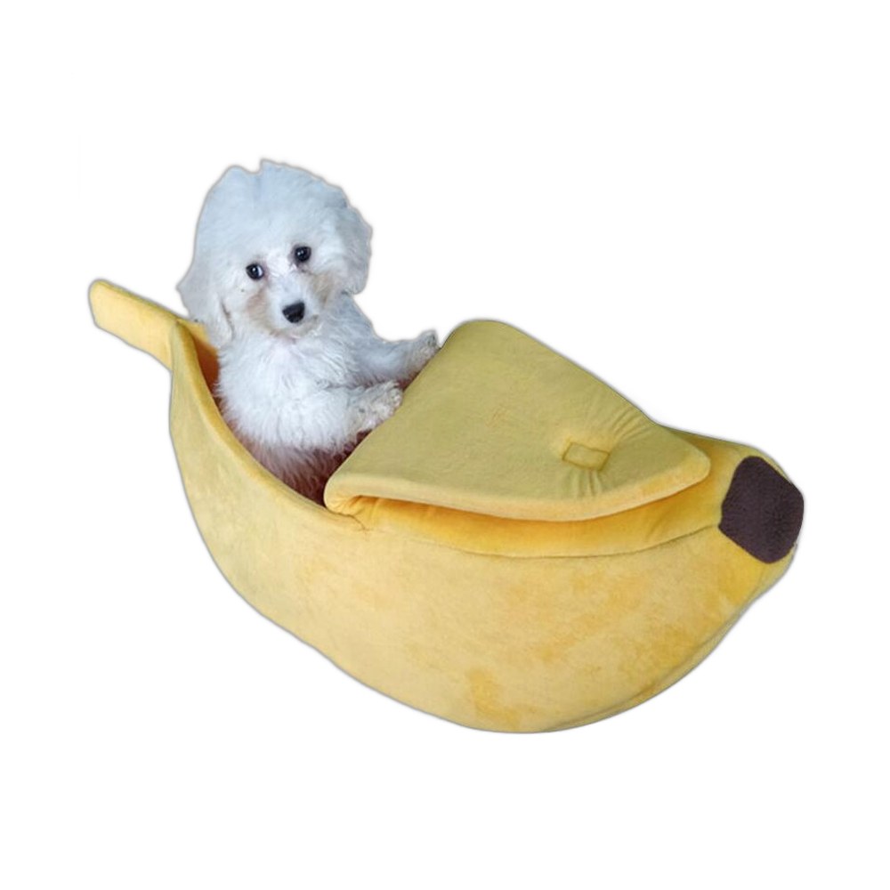 bananseng til hund i plysj