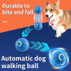 Smart aktivitetsball til hund