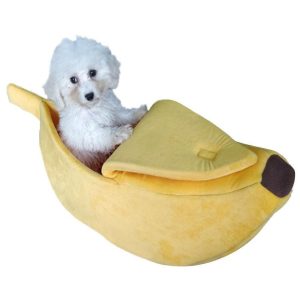 bananseng til hund i plysj