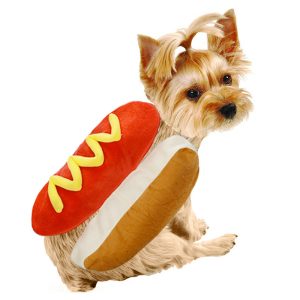 pølsekostyme til hund på tur