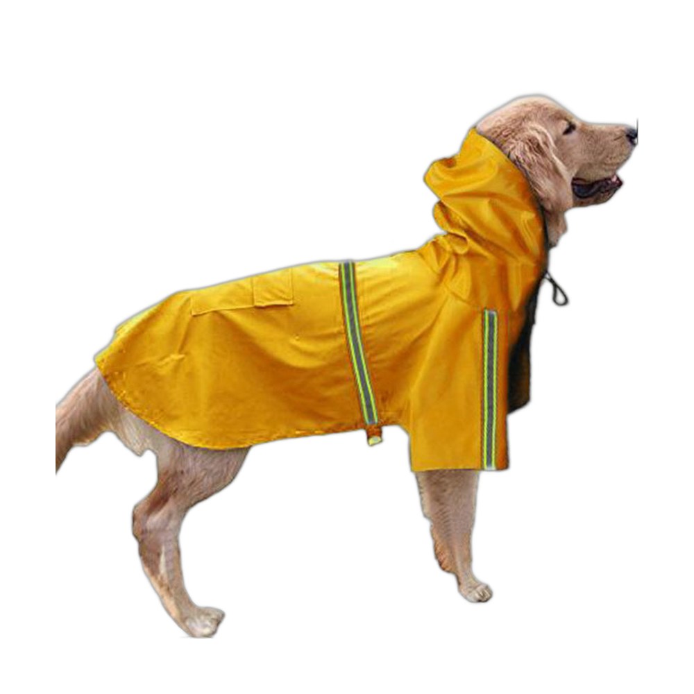 Regndekken til hund: slik velger du riktig størrelse og modell