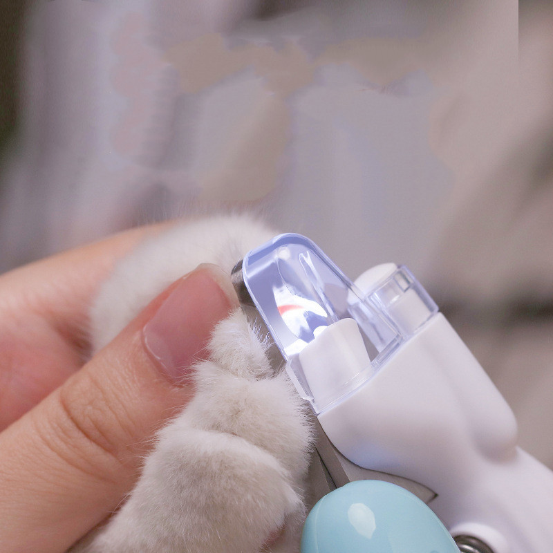 Kloklipper til hund og katt med LED lys - Bilde 3
