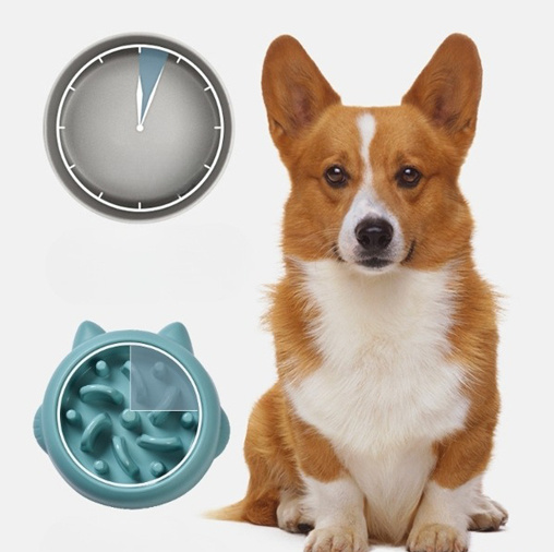 Slow feeder skål til hund og katt - Bilde 3