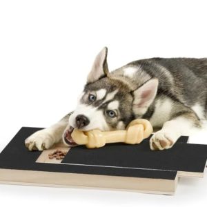 klorebrett til hund med godbitboks