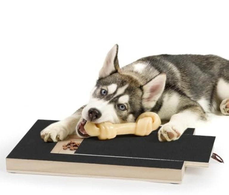 klorebrett til hund med godbitboks