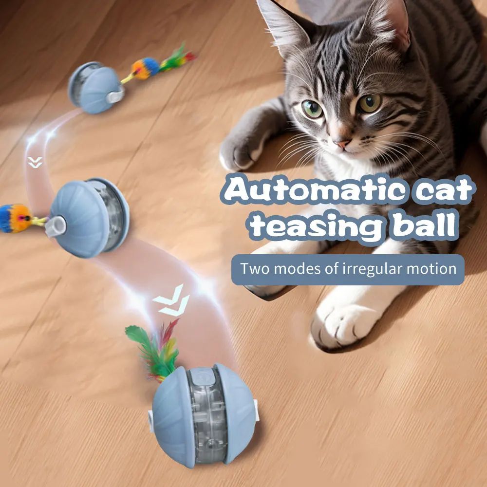 selvrullende ball til katt med hale