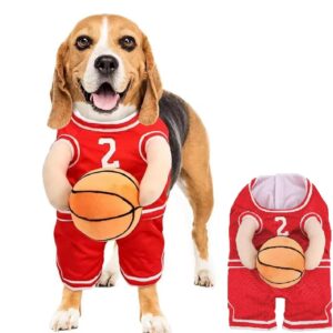 Glad hund som har på seg en basketballdrakt til hund