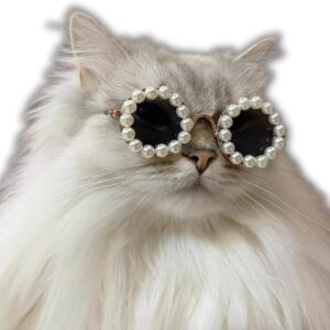 Solbriller til hund og katt dekorert med små perler