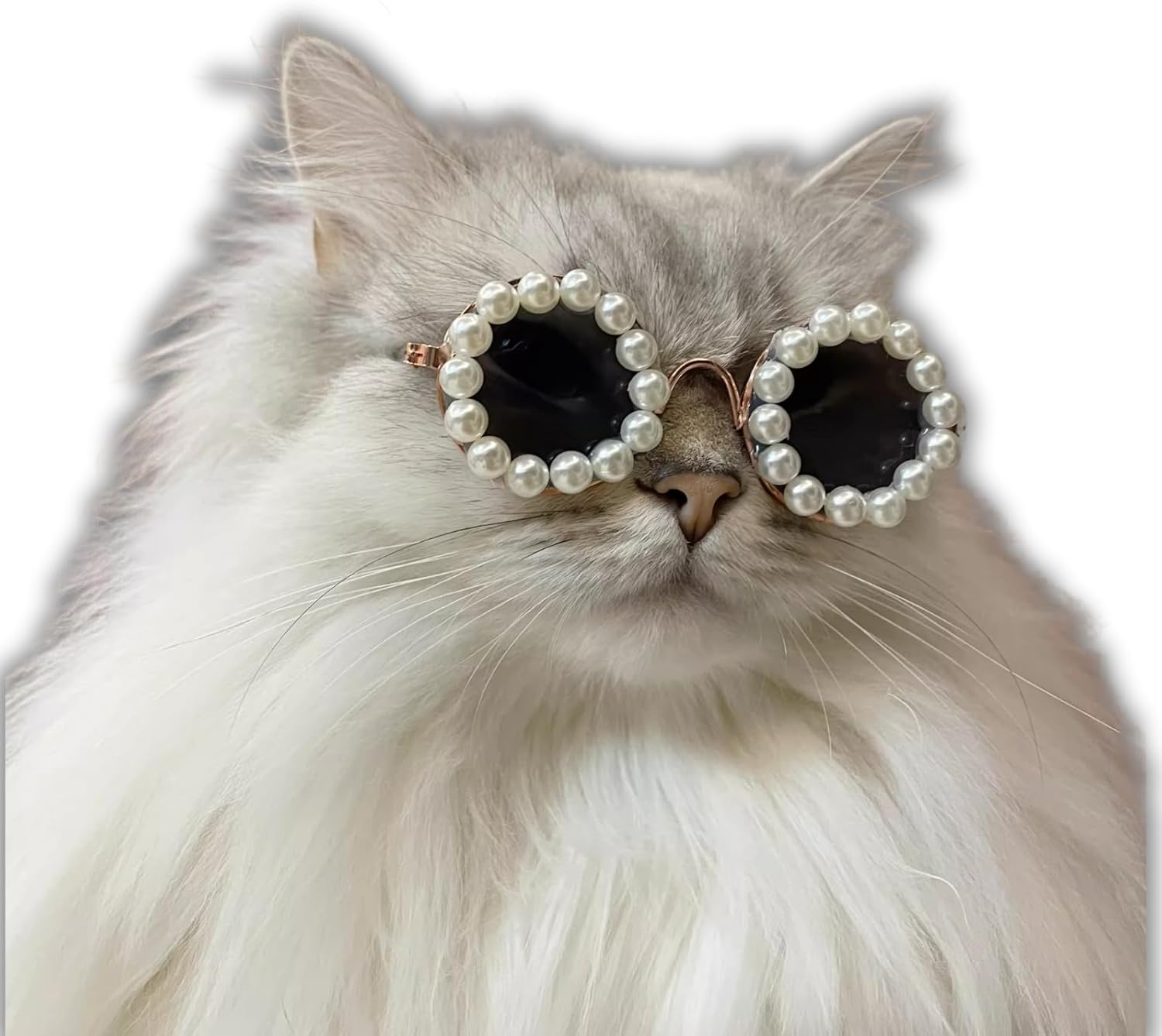 Solbriller til hund og katt dekorert med små perler