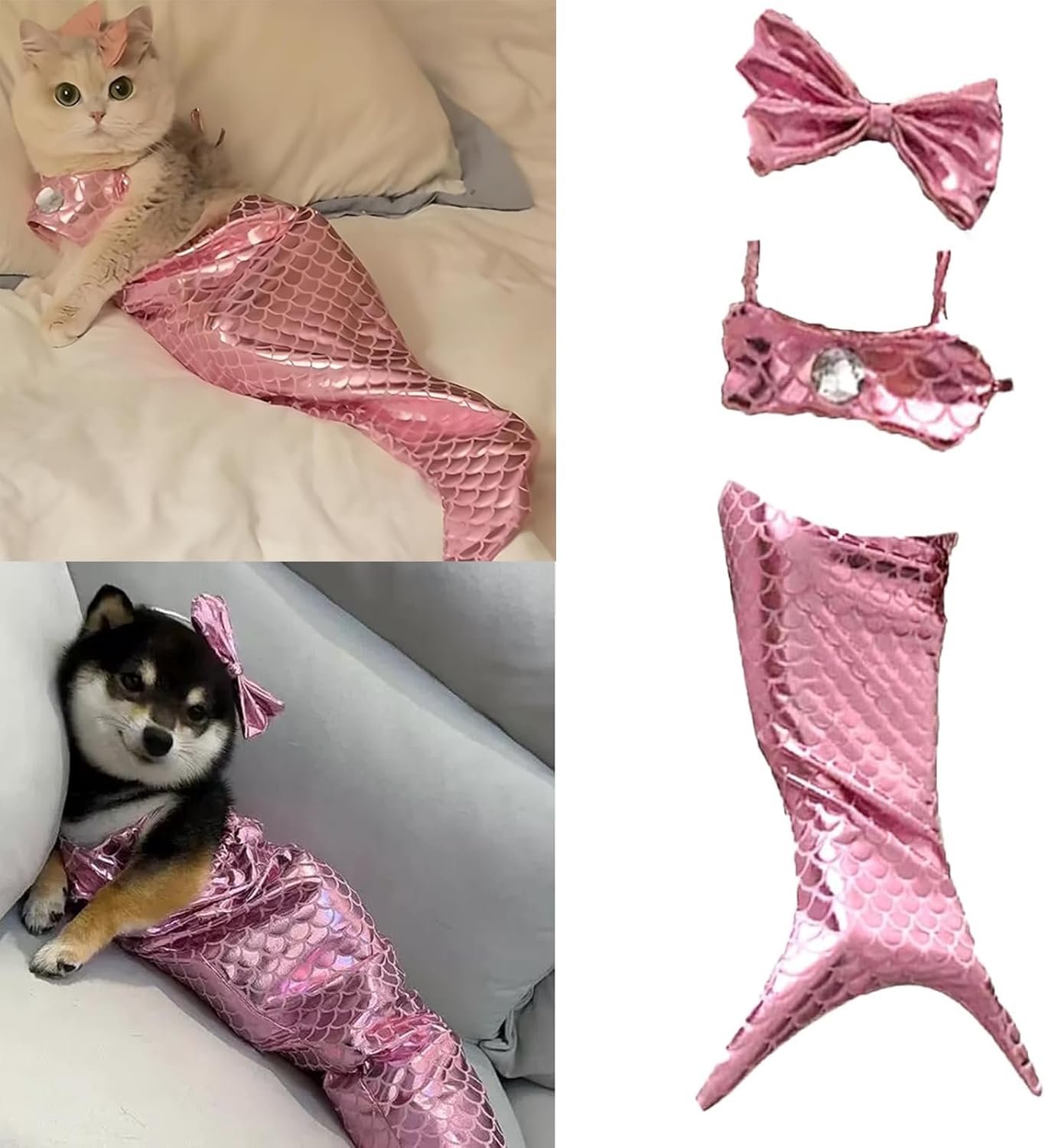 Havfrukostyme til hund og katt med glitrende hale og skjell