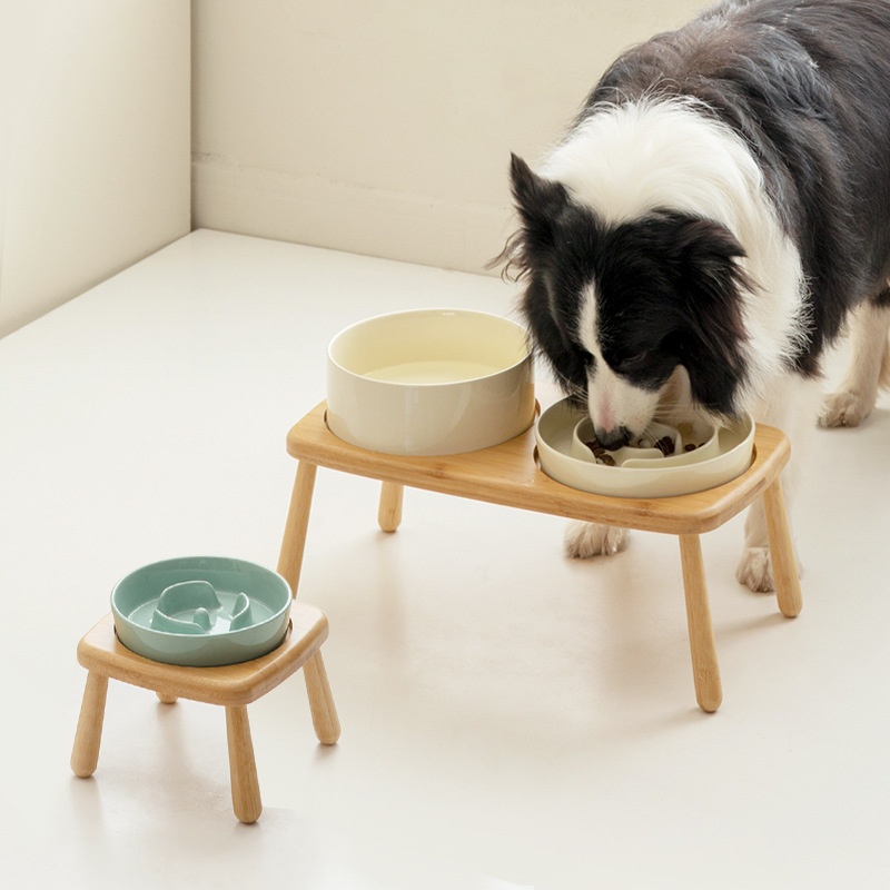 Antislukskål til hund: derfor bør du bremse sultne spisere