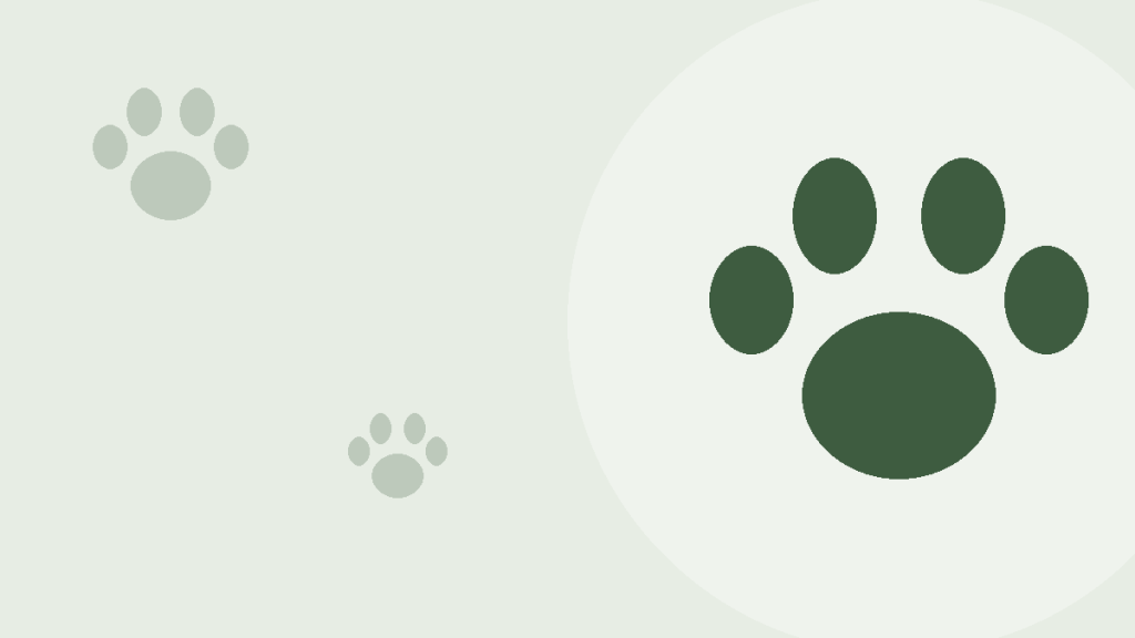 Beste hundeseng 2026: Slik velger du riktig seng til hunden din